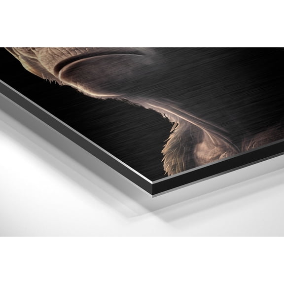 3 Wise Monkeys Brushed Aluminum Dibond Wall Art