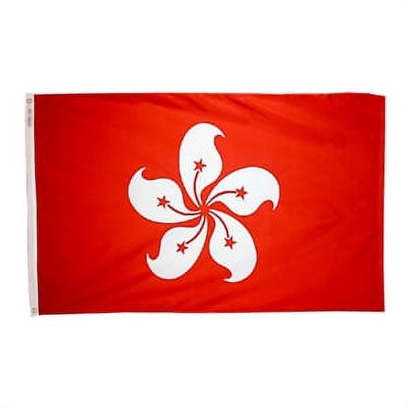 3'X5' DURAWAVEZ HONG KONG NYLON FLAG CH&G