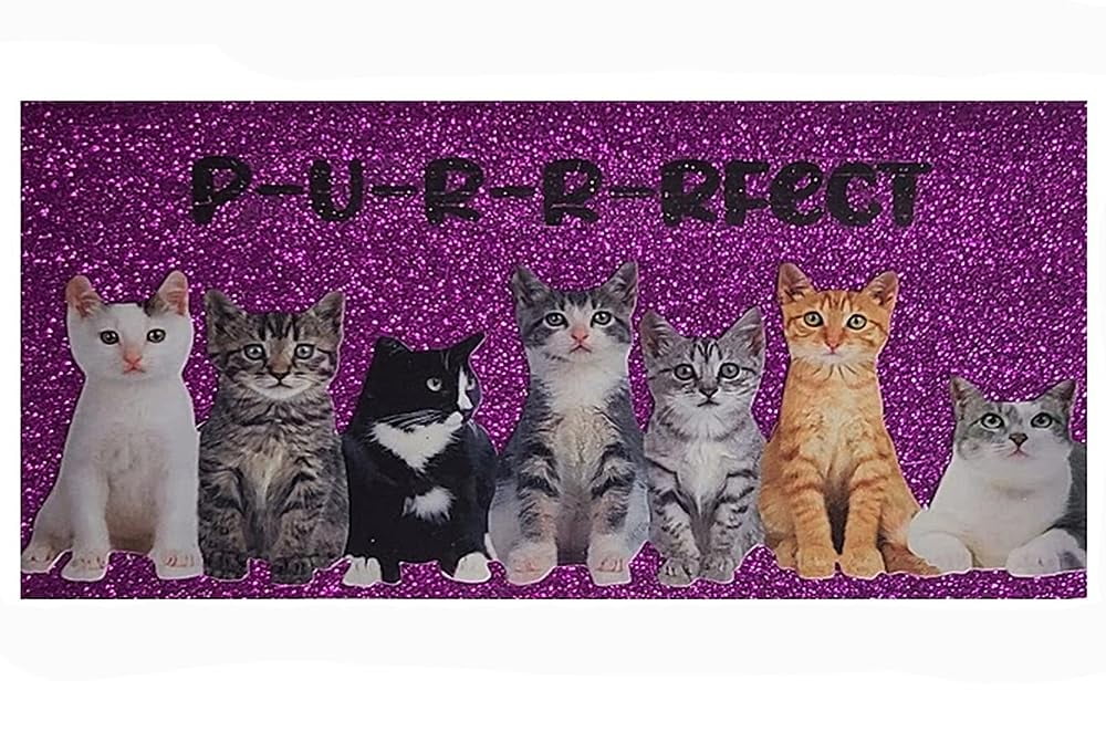 3 Year 2024 2025 2026 Pocket Calendar Planner with Note Pad (Cat Kitten