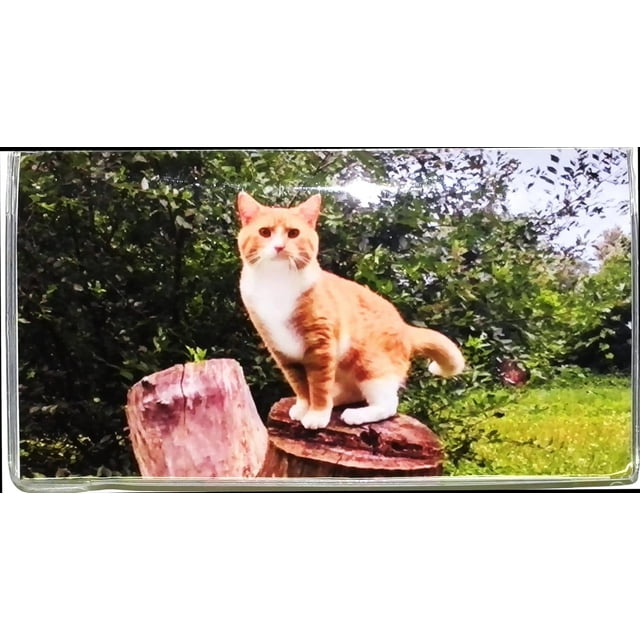 3 Year 2024 2025 2026 Pocket Calendar Planner with Note Pad (Tabby Cat 3 Year 2024 2025 2026 Pocket Calendar Planner with Note Pad (Tabby Cat