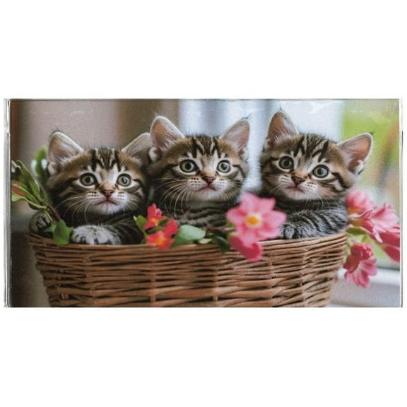 3 Year USA Made 3 Kittens 2026 2027 2028 Pocket Calendar Planner with Note Pad