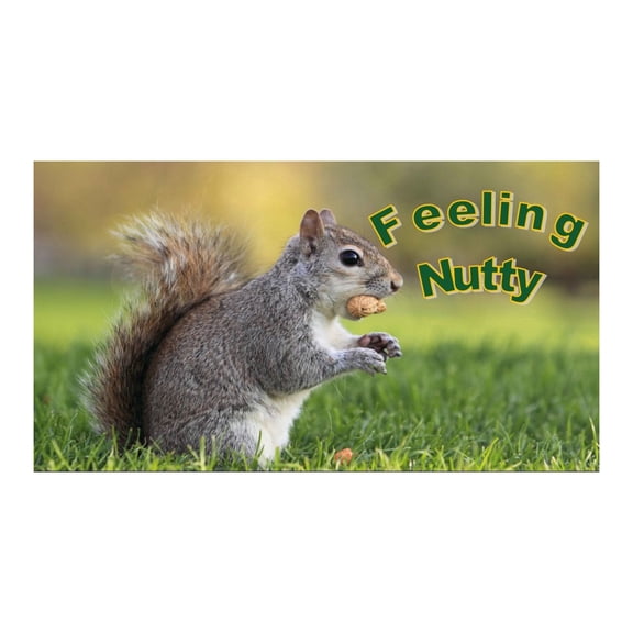 3 Year Nutty Squirrel Pocket Calendar 2026-2028 Planner with Note Pad USA Made by WINGS Craft