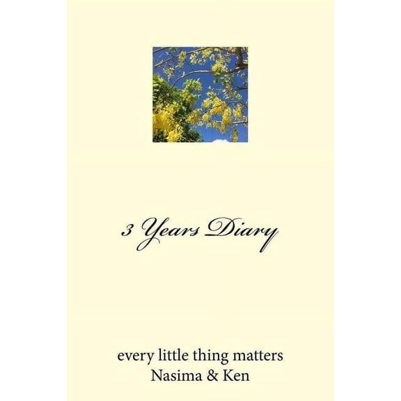 3 Years Diary (Paperback)