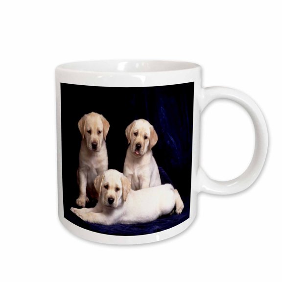 3drose, 3 Yellow Labs Portrait, 11oz Mug