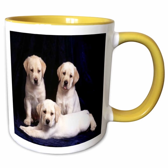 3drose, 3 Yellow Labs Portrait, 11oz Two-tone Yellow Mug