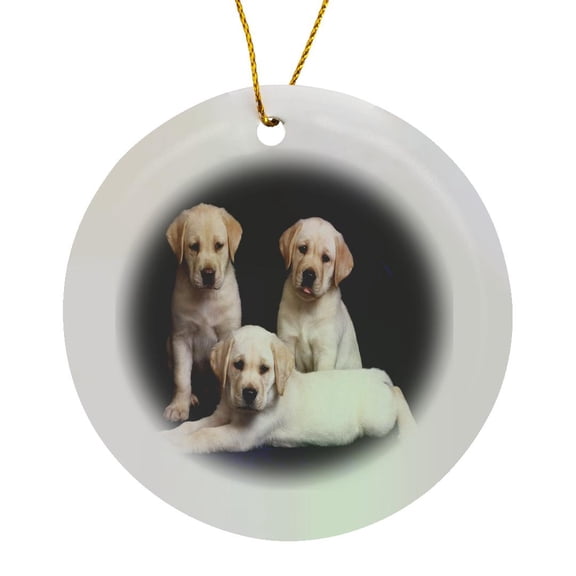 3drose, 3 Yellow Labs Portrait, Circle Porcelain Ornament