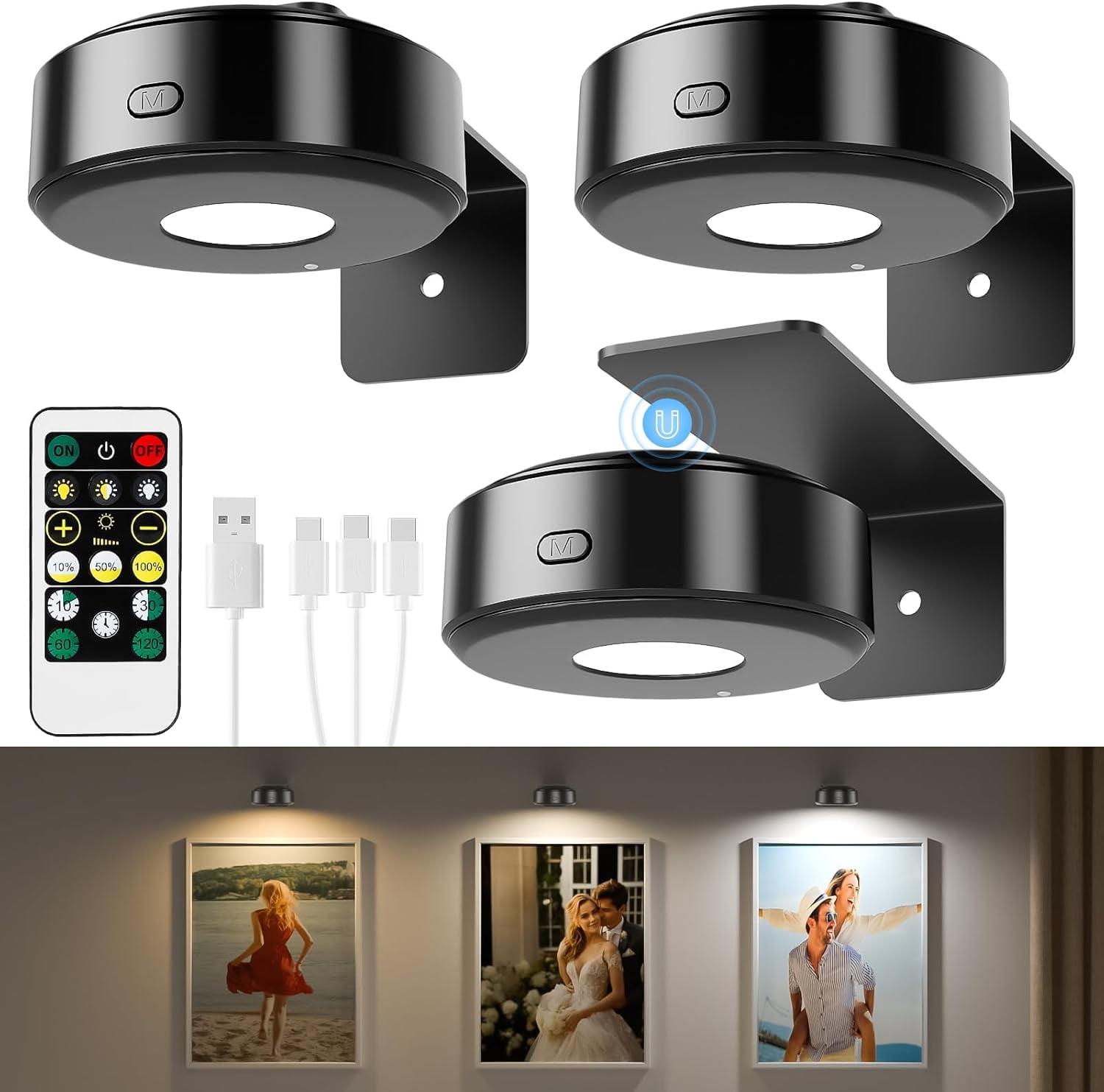 3 count Picture Lights, Wall Light for Paintings, 3 Colors Paintings ...