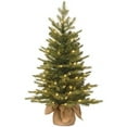 thumbnail image 1 of 3 ft. Feel Real Nordic Spruce Small Tree in Burlap with 100 Clear Lights, 1 of 1