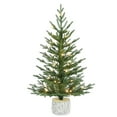 3 ft. PreLit Potted Arctic Fir Artificial Christmas Tree