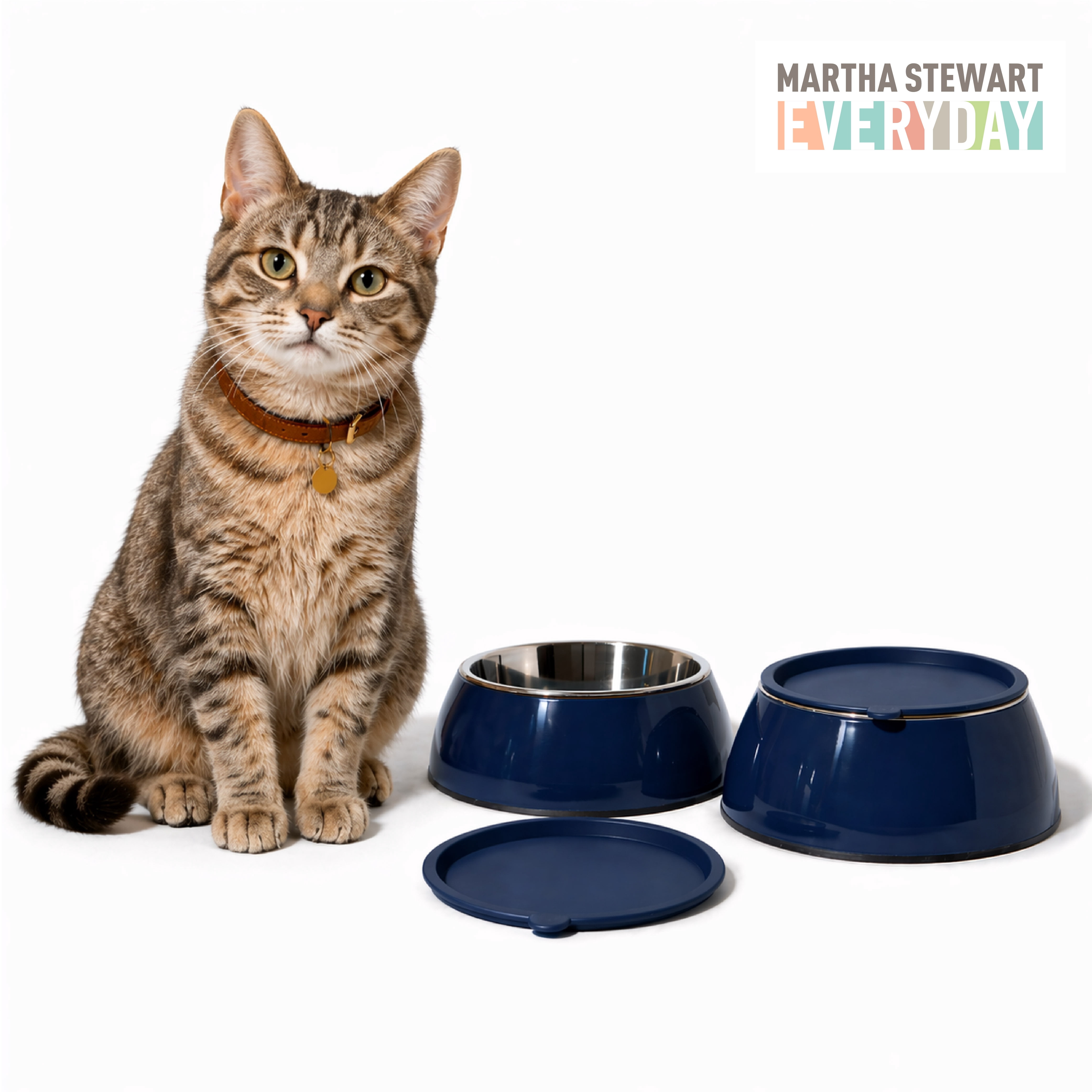 Martha Stewart 3 in 1 Melamine Cat Bowl Set with Lid Navy Medium