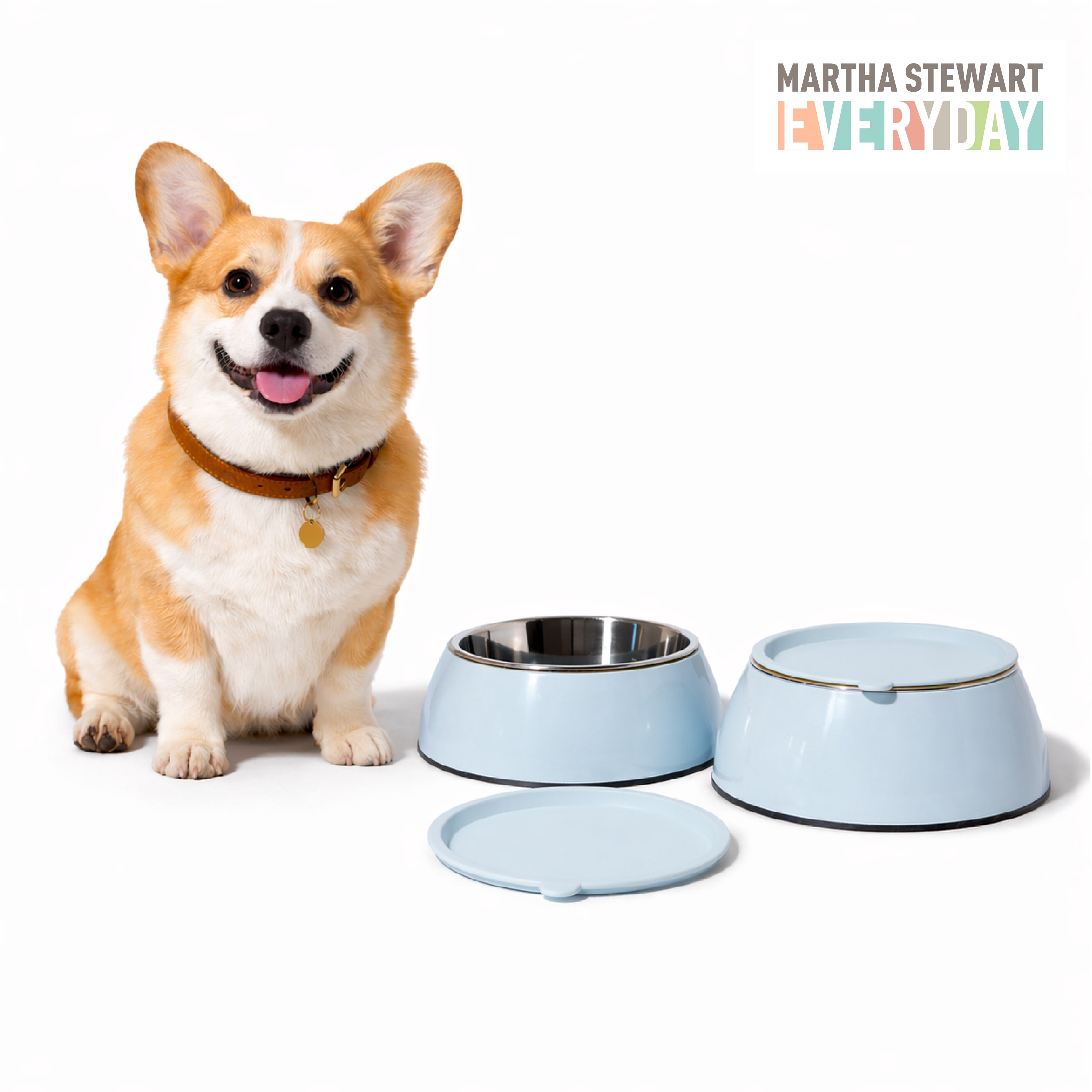 3 in 1 Melamine Dog Bowl Set with Lid Medium Blue Large to Extra Large