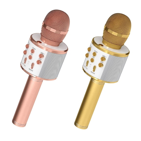 5 Core Microphone Wireless Karaoke Mic With Speaker 3 in 1 Portable Bluetooth Microfono Inalambrico