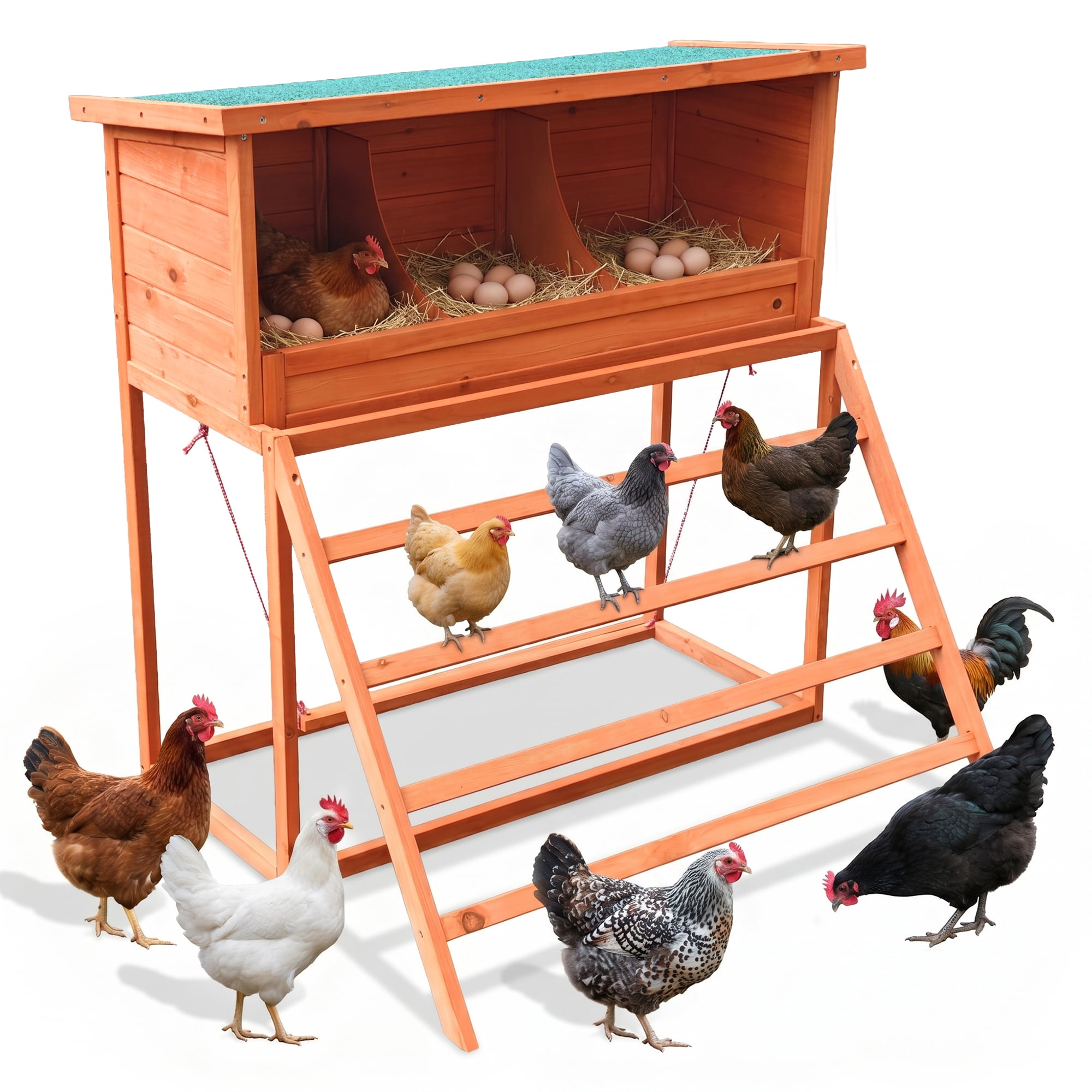 3-in-1 Wooden Chicken Nesting Box with Perch & Swing, 3 Compartments Fir Wood Poultry Laying Nest Box for Chickens Hens Ducks