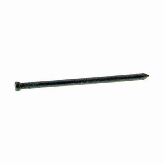 3 in. 5 lbs 10D Finishing Hot-Dipped Galvanized Steel Nail - Pack of 6