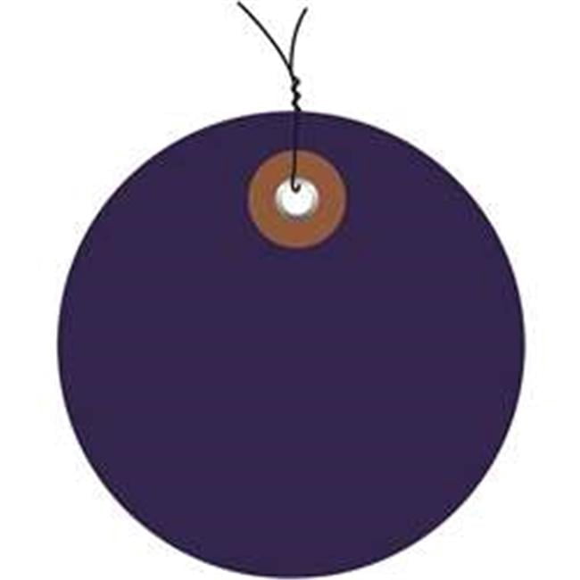 3 in. Blue Plastic Circle Tags - Pack of 100