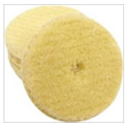 3 in. Sanding Polishing Backup Pad