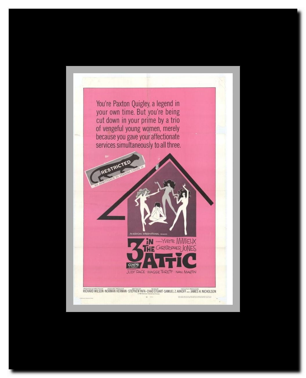 3 in the Attic Framed Movie Poster