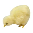 thumbnail image 1 of 3 inch Realistic Chick Plush Toy Simulation Stuffed Animal Soft Cuddly Design Fabric Friends Easter Basket Filler Birthday Gift Home Decor, 1 of 4