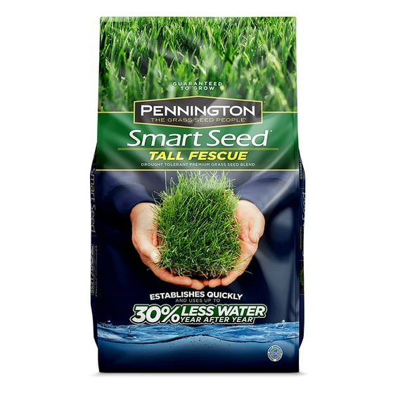 3 lb. Smart Seed Tall Fescue Grass Seed