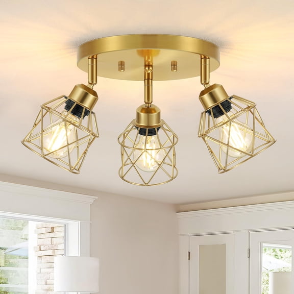 3-light Brushed Kitchen Light Fixtures Modern Close To Ceiling With Metal Cmulti-directional Lights For Farmhouse Hallway Dining Room Entryway