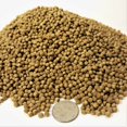 thumbnail image 1 of 3 mm (1/8") Krill & Brine Shrimp Tropical Fish Growth Floating Pellets…1/8-lb, 1 of 1