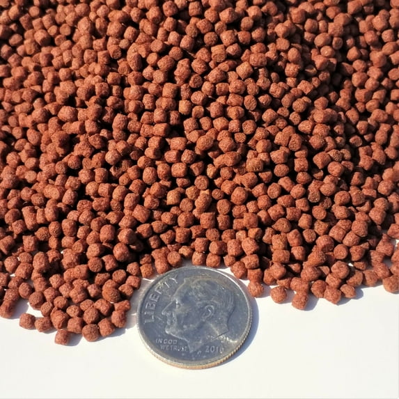 3 mm Ultra Intense Color Enhancing Floating Pellets, ALL Cichlids…5-lbs
