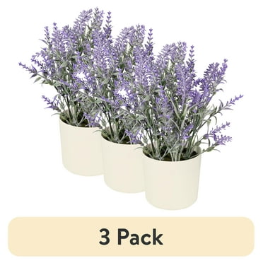(3 pack) 11-inch x 4-inch Artificial Lavender Plant in White Pot, Purple, for Indoor Use, by Mainstays