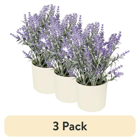 (3 pack) 11-inch x 4-inch Artificial Lavender Plant in White Pot, Purple, for Indoor Use, by Mainstays