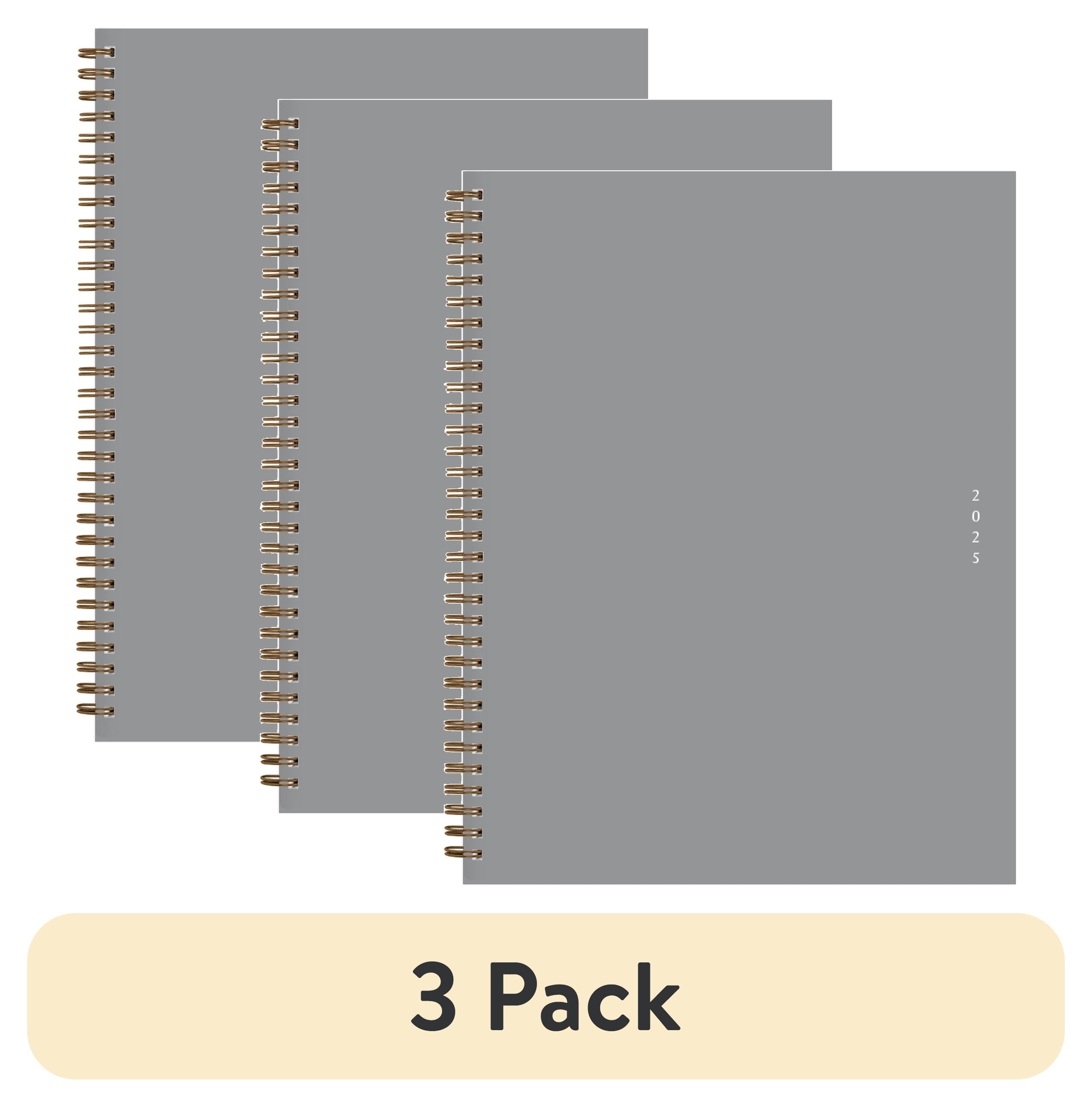 (3 pack) 2025 Weekly Monthly Planner, 8.5x11, Blue Sky Green Earth, Mid Gray