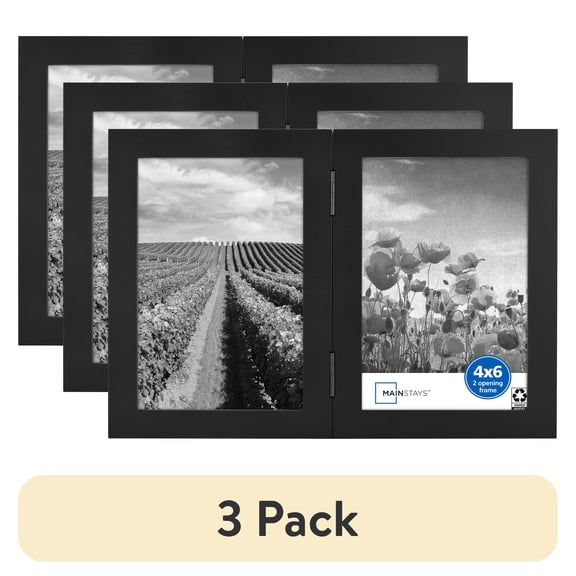 Mainstays Hinged Folding 2-Opening 4x6 Picture Frame, Multiple Colors