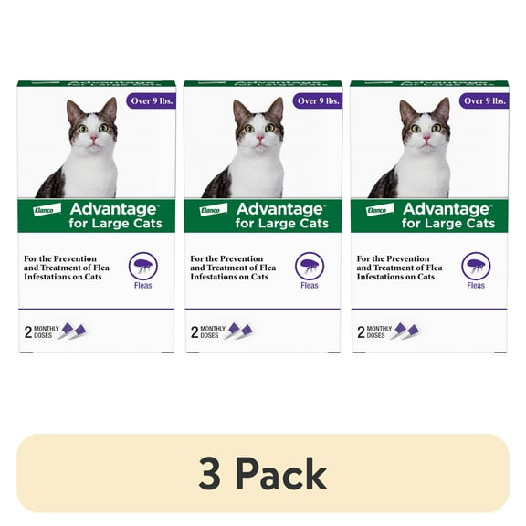 (3 pack) Advantage Topical Flea Treatment & Prevention For Large Cats Over 9 lbs. (2 Count)