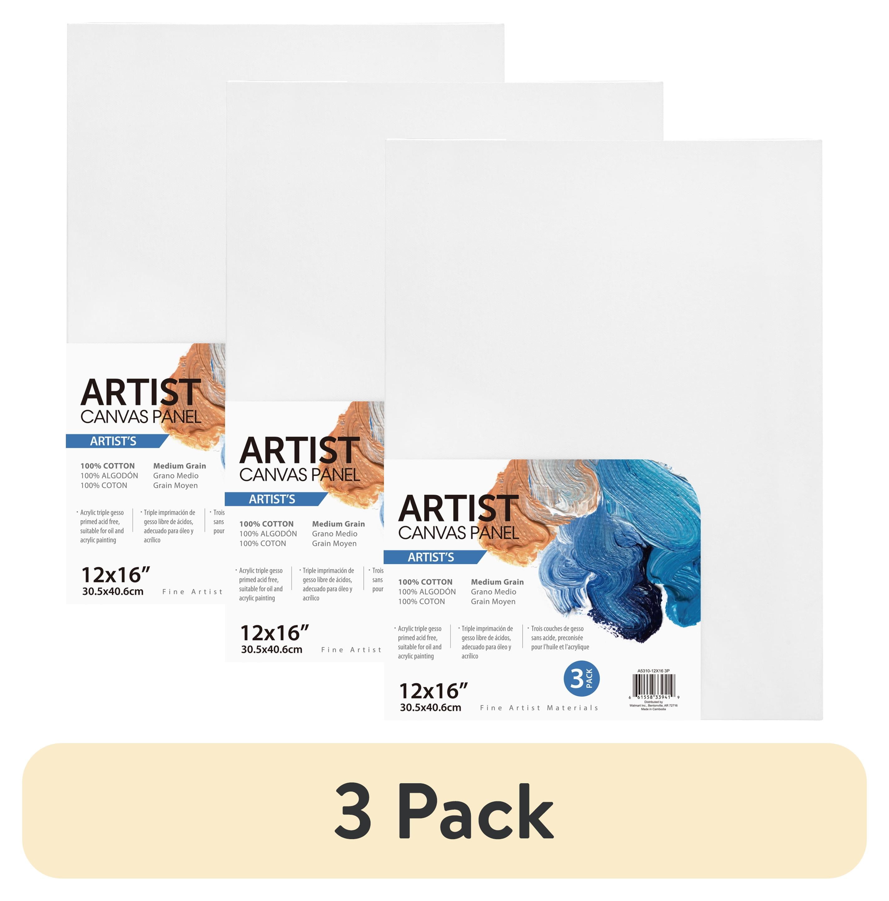 (3 pack) Artist Canvas Panel, 100% Cotton Acid Free White Canvas, 12"X16", 3 Pieces, Deluxe Canvas, Ideal for Art Students, Educators, Artists and Professionals.