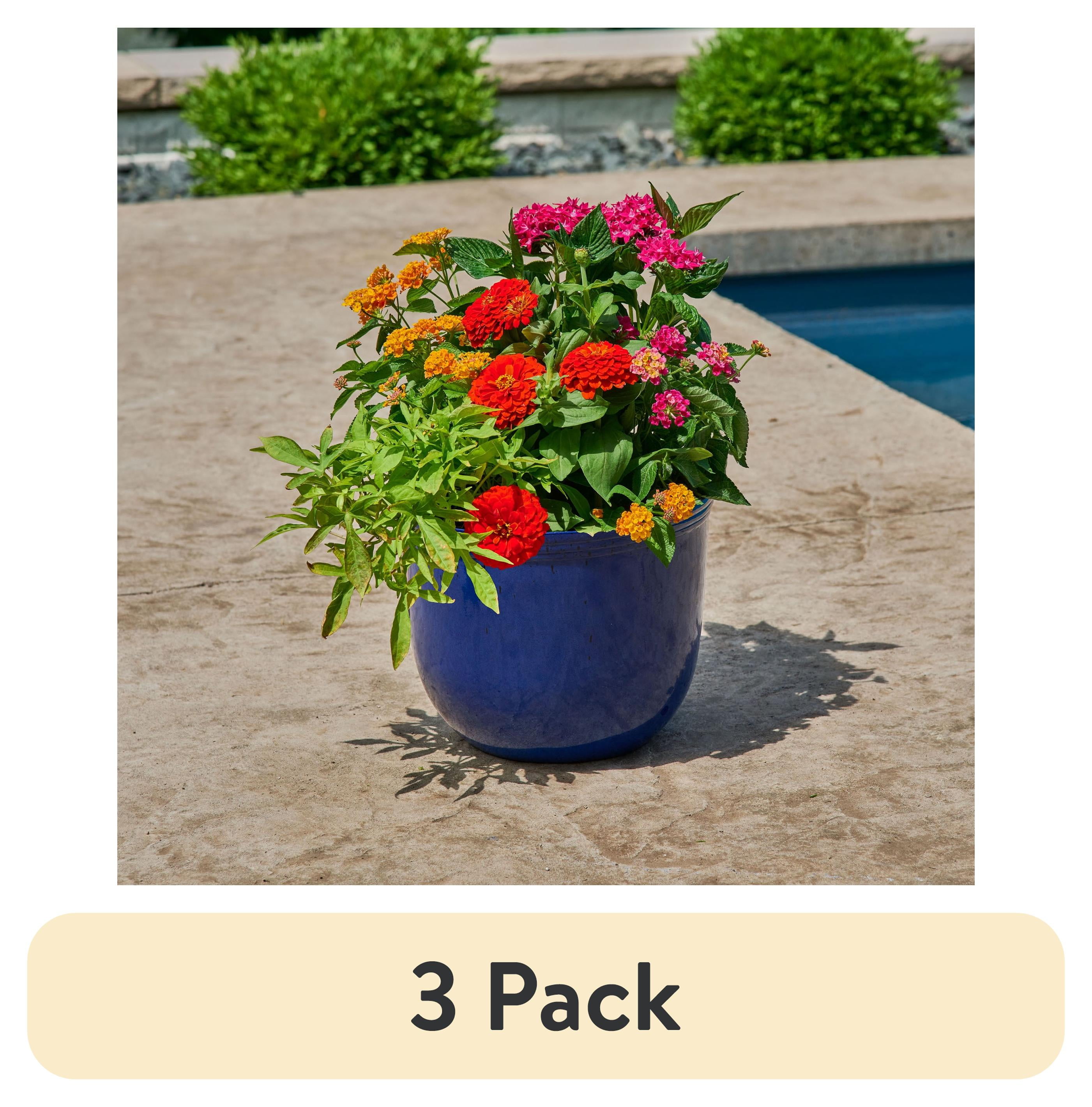 (3 pack) Better Homes & Gardens Meadow 12-Inch Blue Planter for Indoor & Outdoor Use