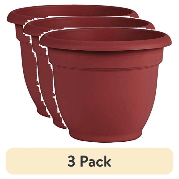 (3 pack) Bloem Ariana 10 In. Plastic Self Watering Burnt Red Planter