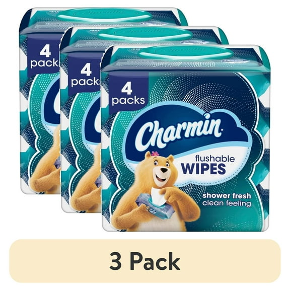 (3 pack) Charmin Flushable Wet Wipes, 4 packs, 40 Wipes Per Pack, 160 Total Wipes