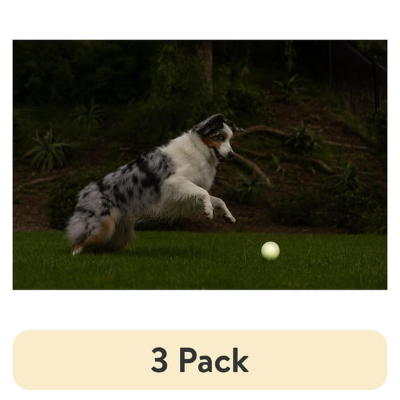 (3 pack) Chuckit! Max Glow Durable Rubber Fetch Ball Dog Toy, Large for Dogs 60-100 lb, Pack of 1, White