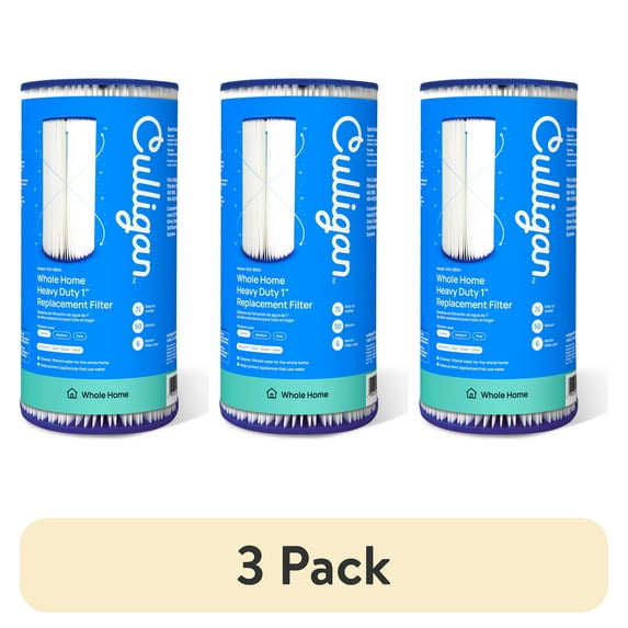 (3 pack) Culligan R50-BBSA Whole Home Heavy Duty 1" Water Filter Replacement, Coarse (2-Pack)