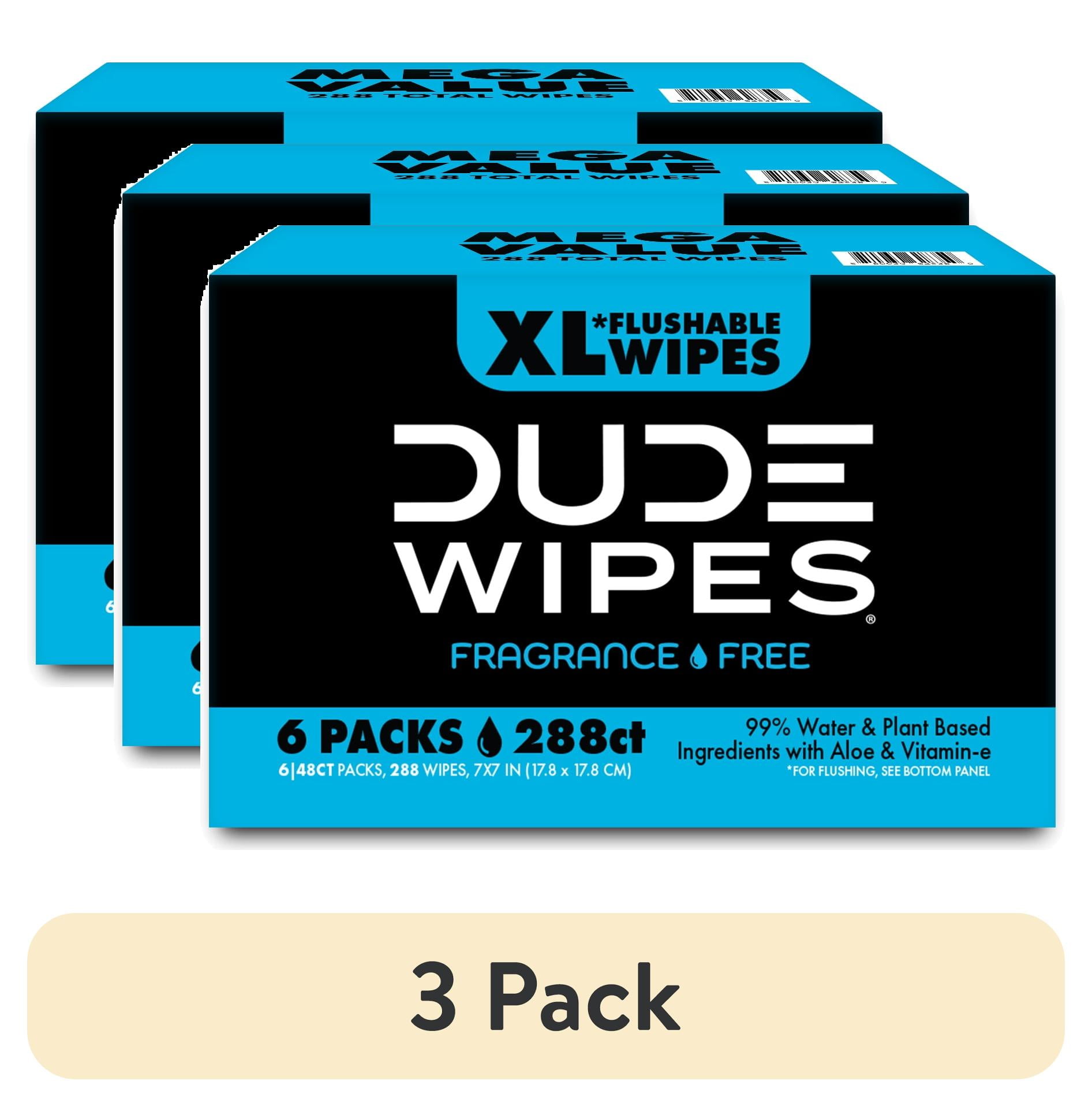 (3 pack) DUDE Wipes Flushable Wipes, XL Wet Wipes for At Home Use, Unscented, 48 Count, 6 Pack