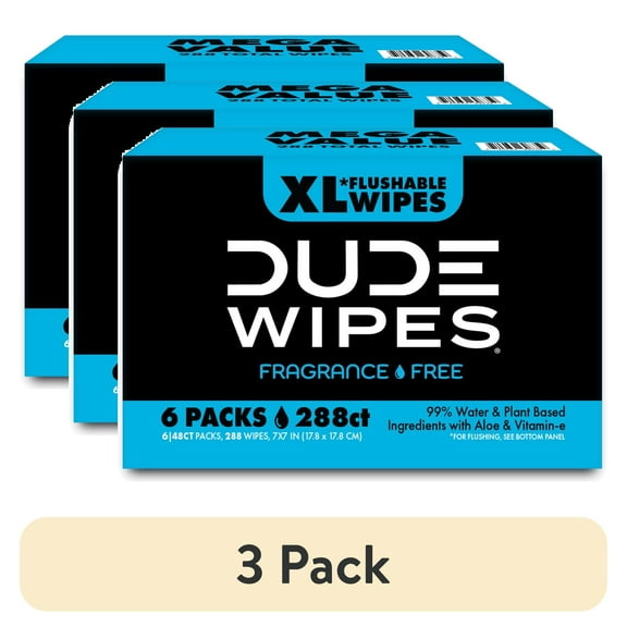 (3 pack) DUDE Wipes Flushable Wipes, XL Wet Wipes for At Home Use, Unscented, 48 Count, 6 Pack