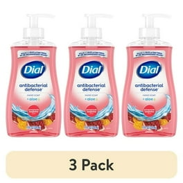 Dial-2PK Antibacterial Liquid Soap, Pomegranate and Tangerine,