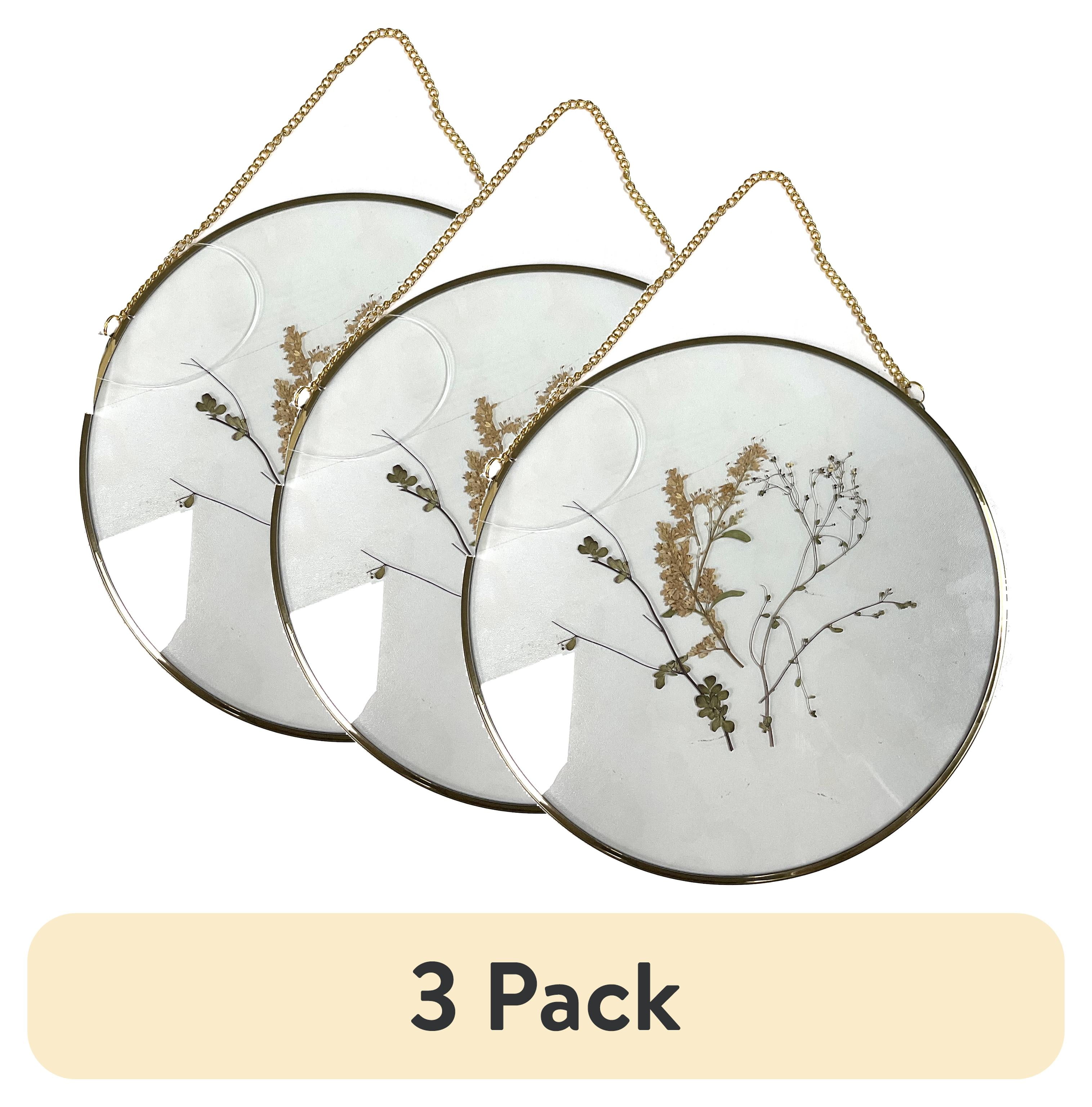 (3 pack) Mainstays Hanging Gold Circular Framed Glass Dried Pressed Floral Wall Decor, 9x9