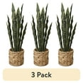 thumbnail image 1 of (3 pack) Home Decor Collection Flora Bunda 24.3" Artificial Snake Plant in Rattan Basket, 1 of 6