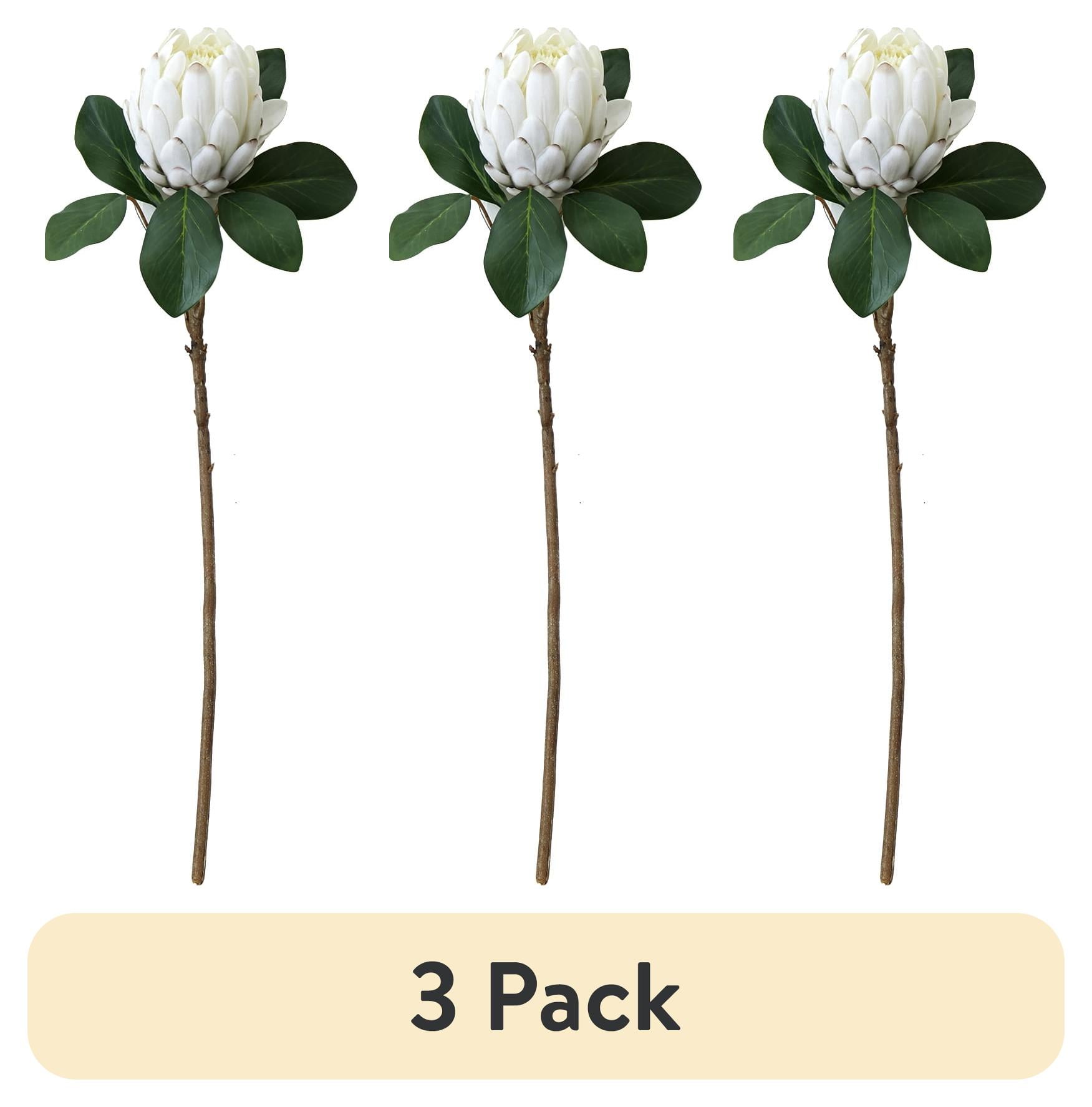 (3 pack) Mainstays 26.5 in White Artificial King Protea Stem