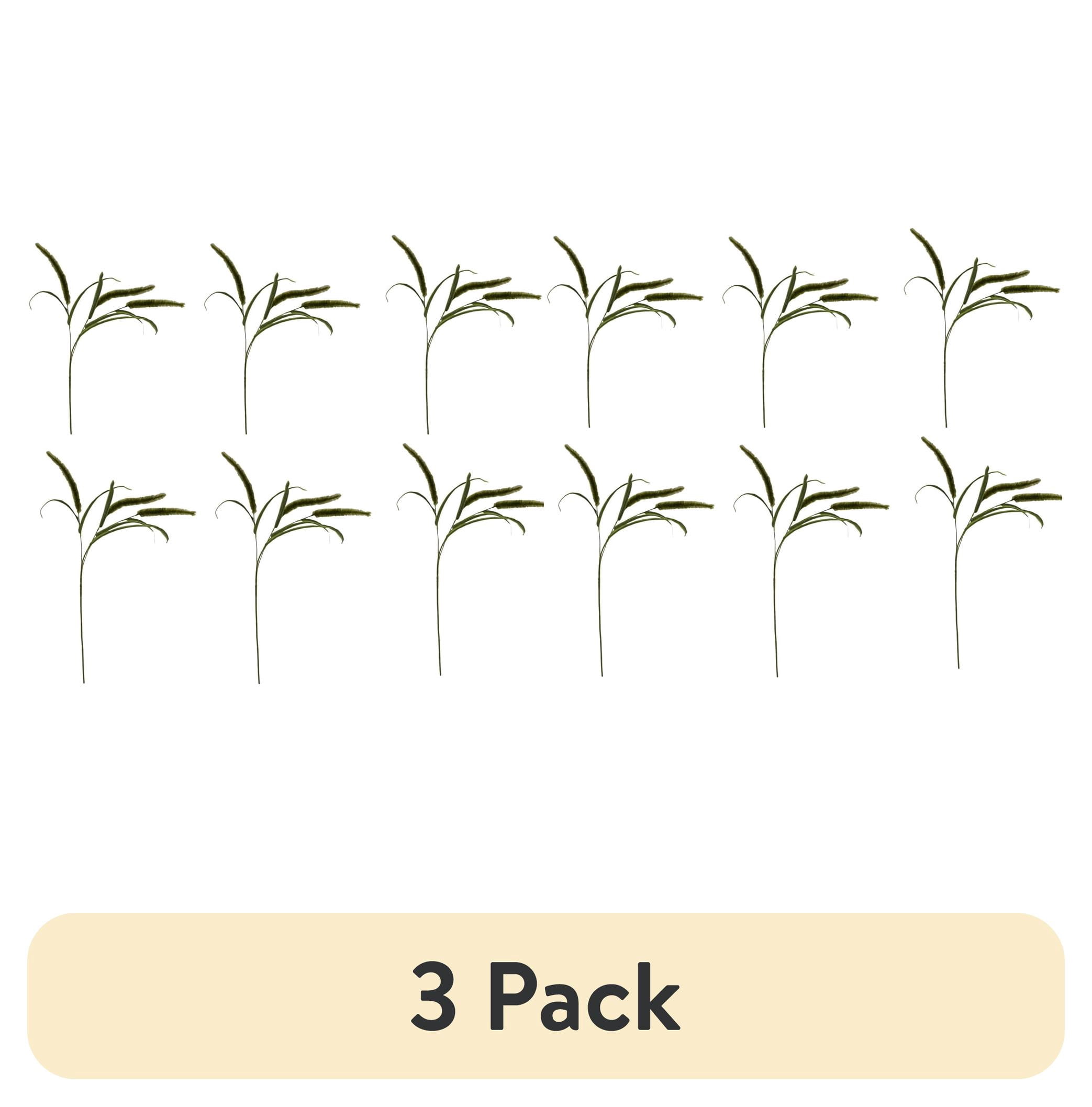 (3 pack) Mainstays 36" Artificial Green Dogtail Stem, Set of 12, Indoor Use