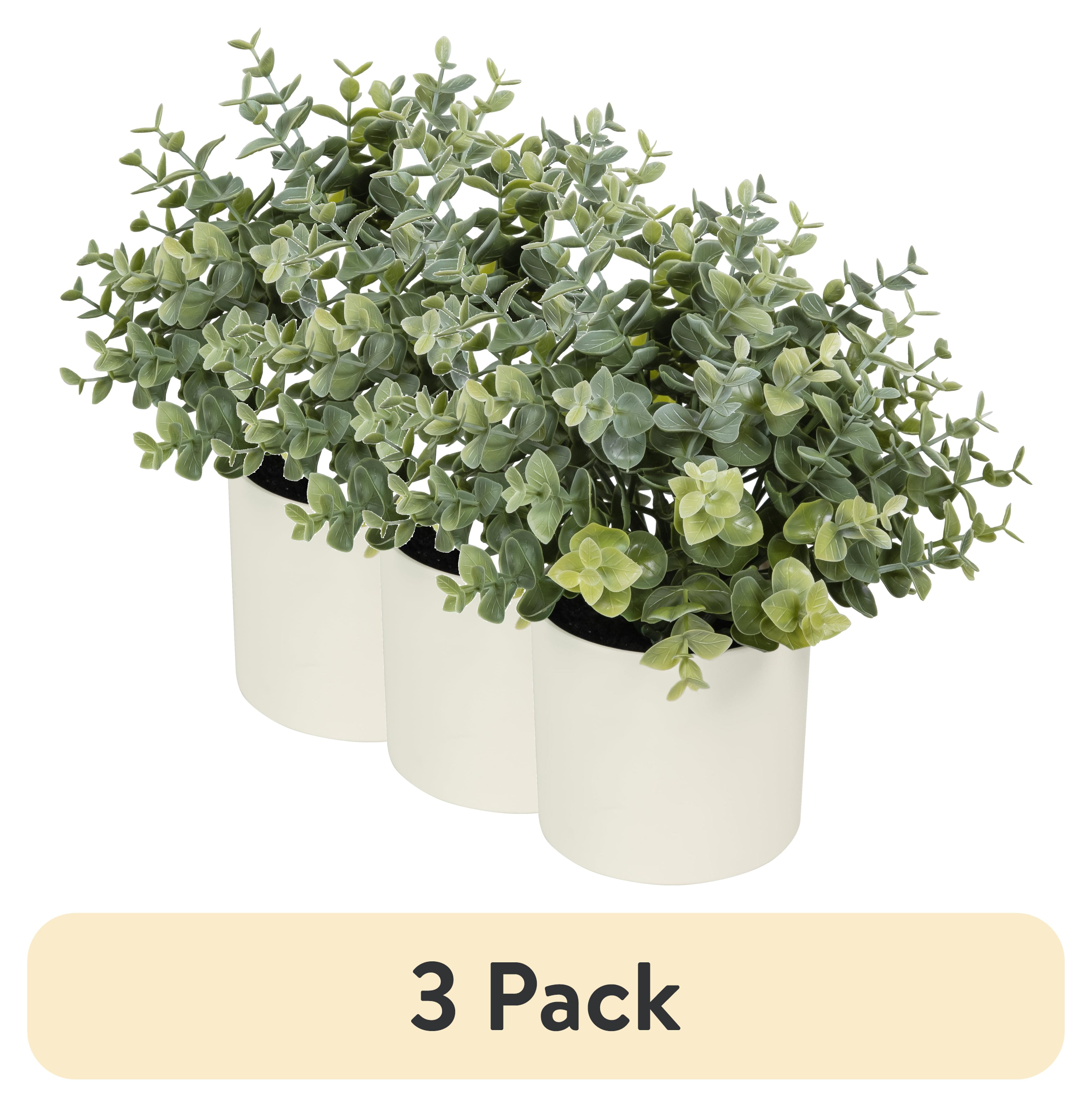 (3 pack) Mainstays 8.5" Artificial Eucalyptus Plant in Cream Pot