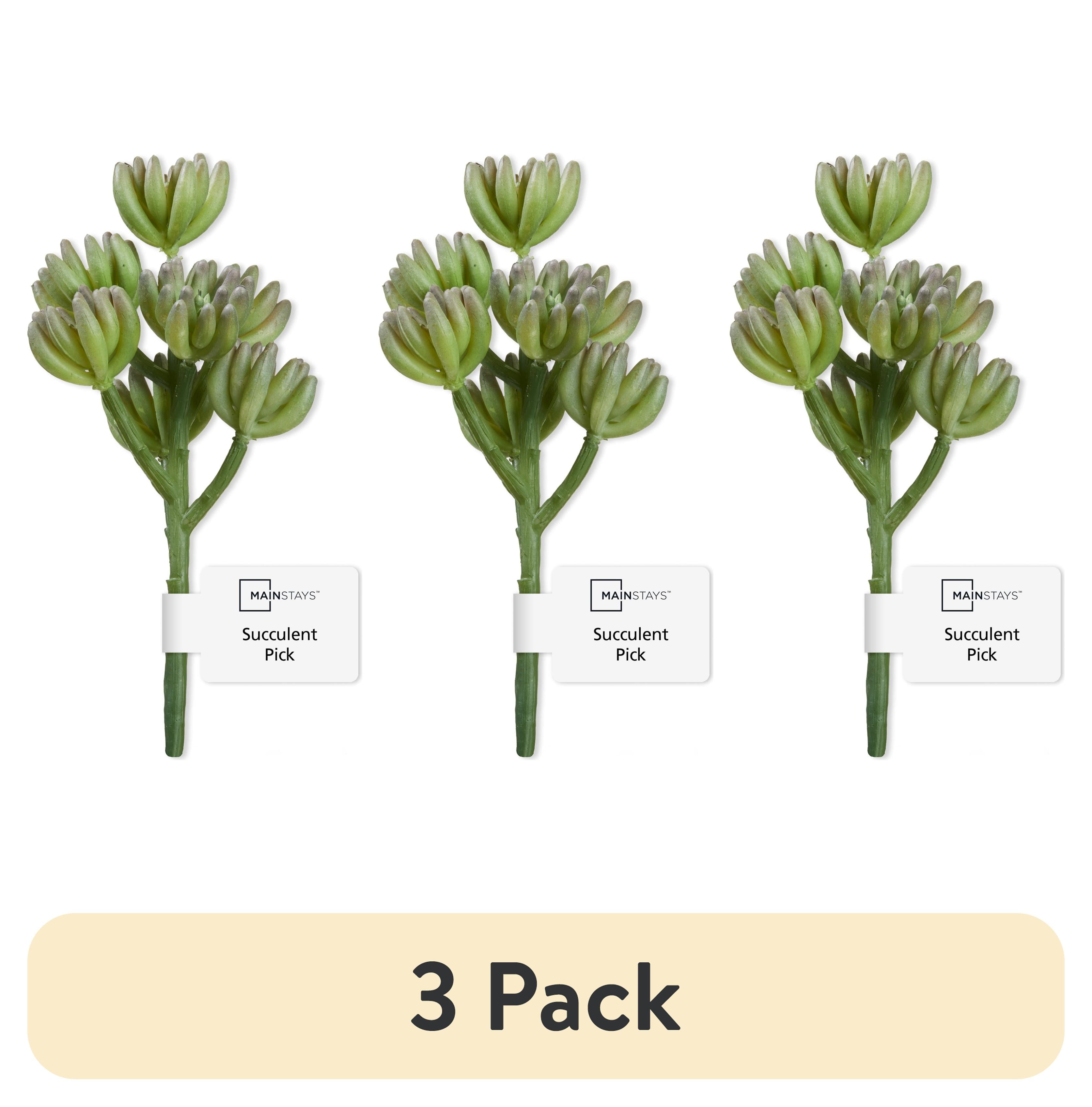 (3 pack) Mainstays Green Rose Artificial Succulent Pick, 2.75" x 6.75"