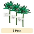 thumbnail image 1 of (3 pack) Mainstays Artificial Succulent Pick 3 inch x 4.5 inch Green Echeveria, 1 of 6
