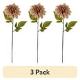thumbnail interactive-video image 1 of (3 pack) Mainstays Indoor Artificial Flower Stem, Dried Look Dahlia, Cream Color, Assembled Height 24.75", 1 of 10