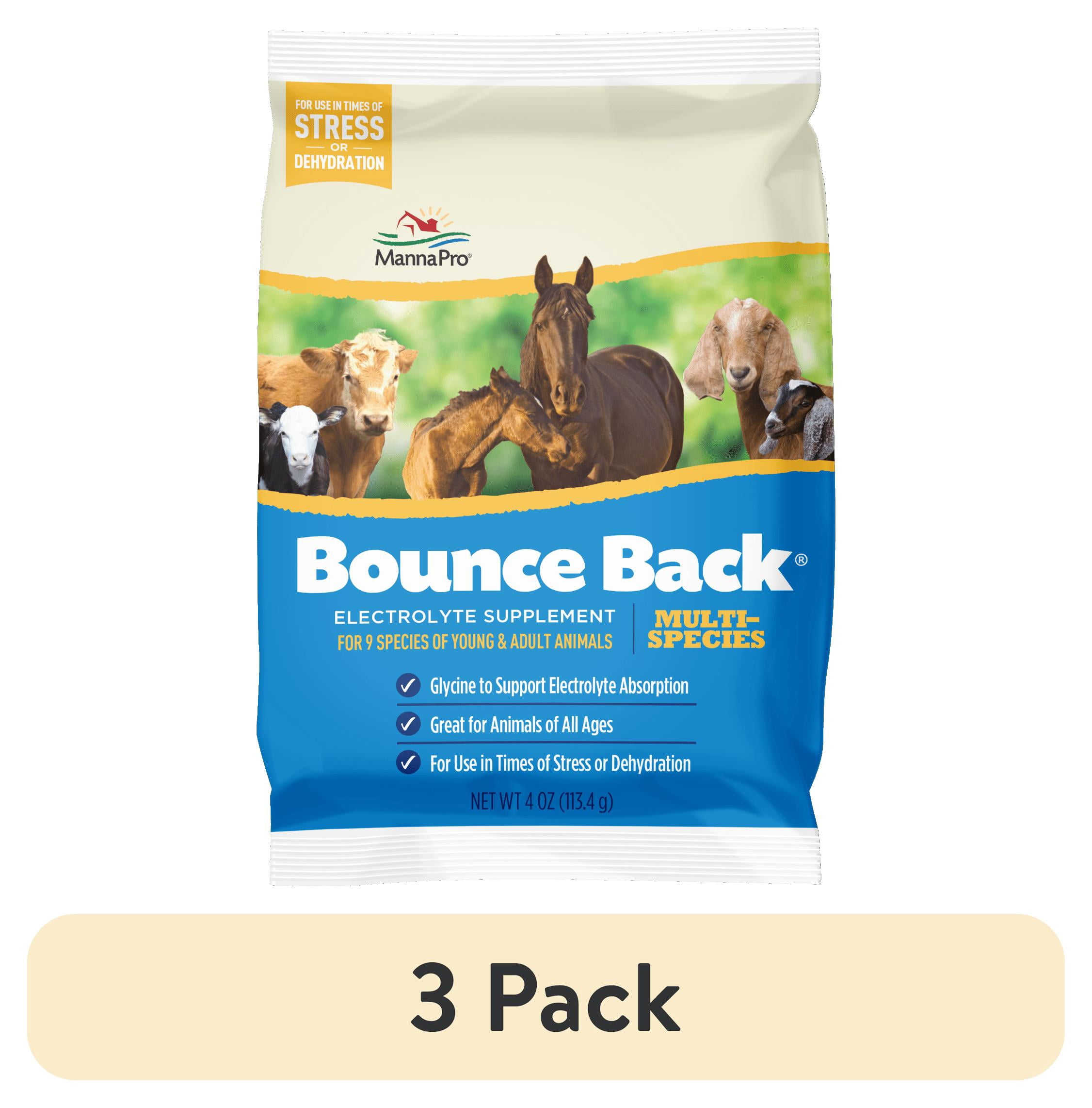 Backpack Back Rig (3 pack) Manna Pro Bounce Back Supplement for Cows, Calves, Horses ...
