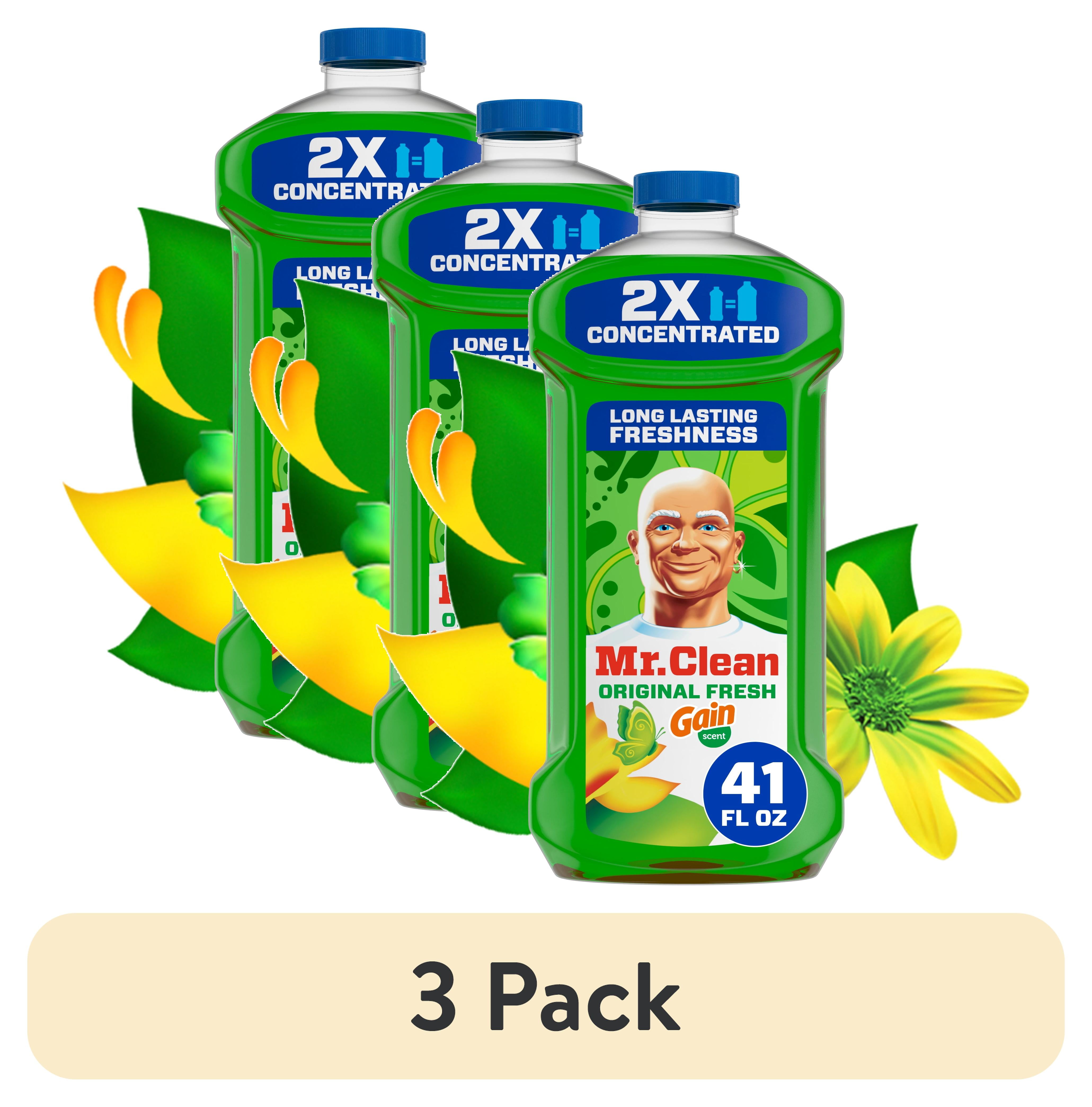 GRANDMAS PURE NATURAL: Renz E-Z All Purpose Window Washer